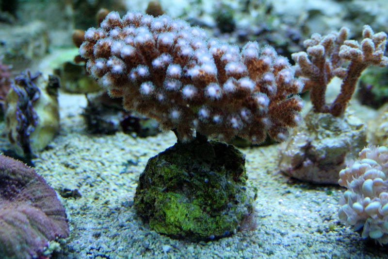 Killikus® Fotographie Killikus® Fotographie